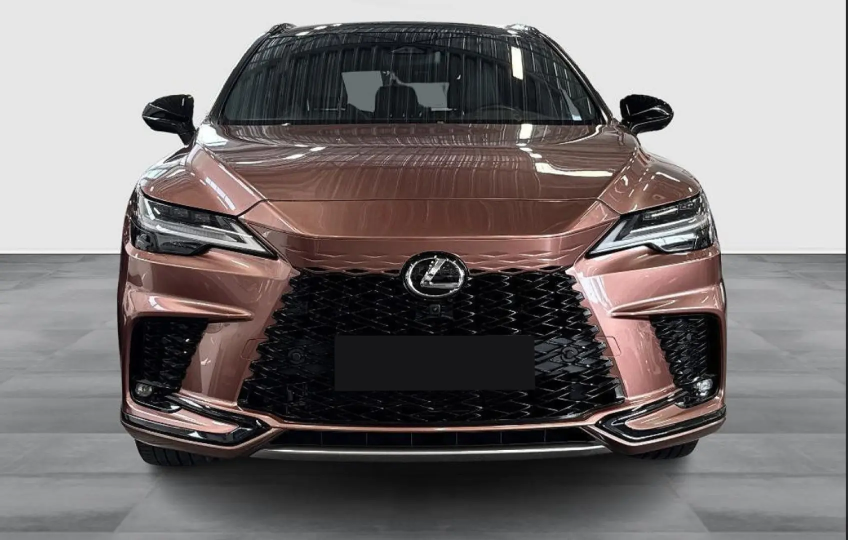 LEXUS RX 500h Luxury