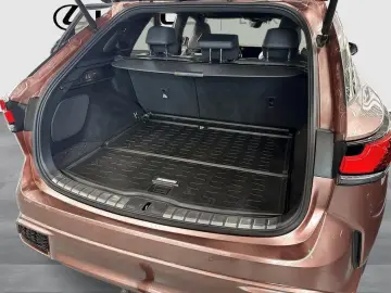LEXUS RX 500h Luxury