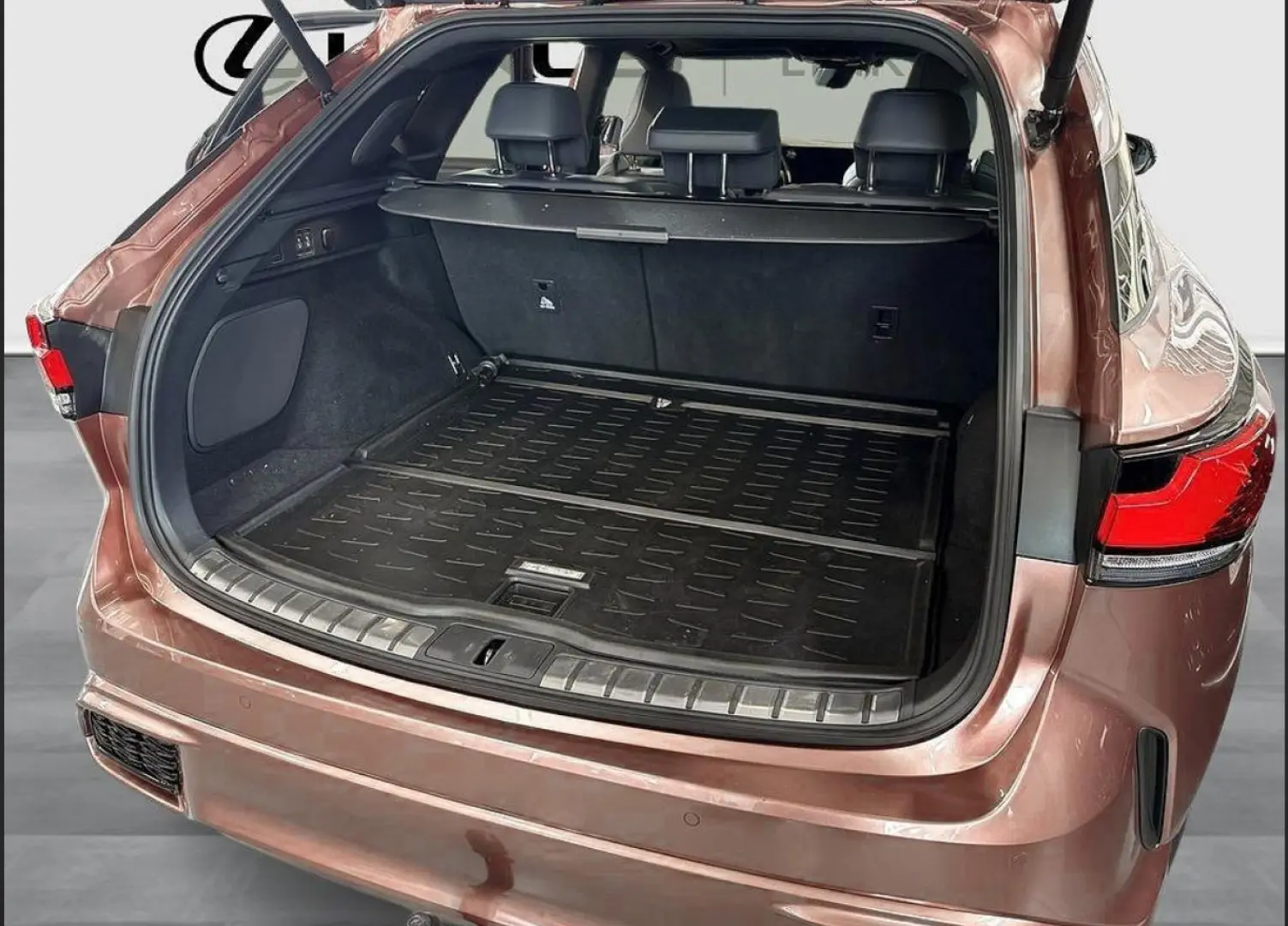 LEXUS RX 500h Luxury