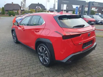 UX 250h  (E-FOUR) Luxury Line 360  Sitzbelüftung
