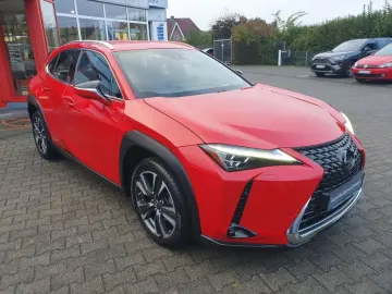 UX 250h  (E-FOUR) Luxury Line 360  Sitzbelüftung