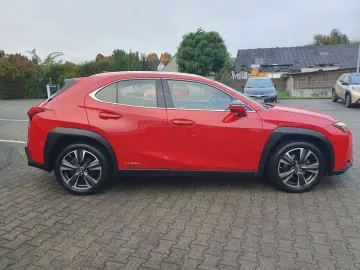 UX 250h  (E-FOUR) Luxury Line 360  Sitzbelüftung