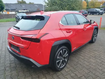 UX 250h  (E-FOUR) Luxury Line 360  Sitzbelüftung