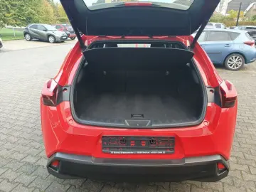 UX 250h  (E-FOUR) Luxury Line 360  Sitzbelüftung