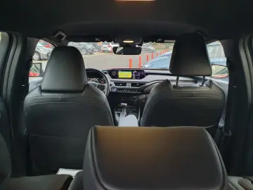 UX 250h  (E-FOUR) Luxury Line 360  Sitzbelüftung