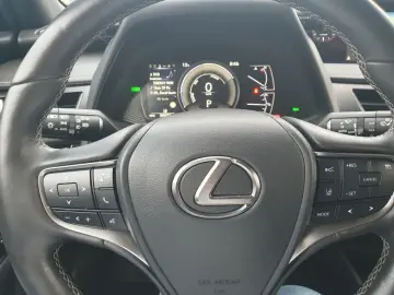 UX 250h  (E-FOUR) Luxury Line 360  Sitzbelüftung