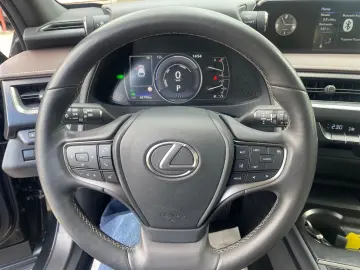 UX250H 2 0 Hybrid Automatik Leder Klima Navi Kam