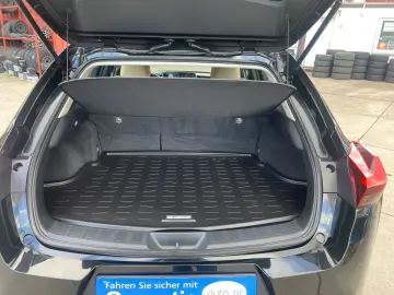 UX250H 2 0 Hybrid Automatik Leder Klima Navi Kam