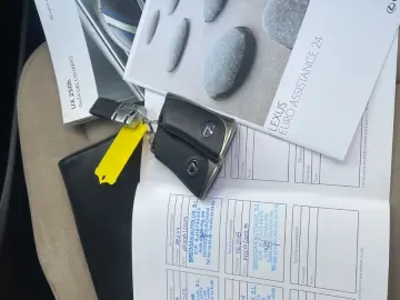 UX250H 2 0 Hybrid Automatik Leder Klima Navi Kam