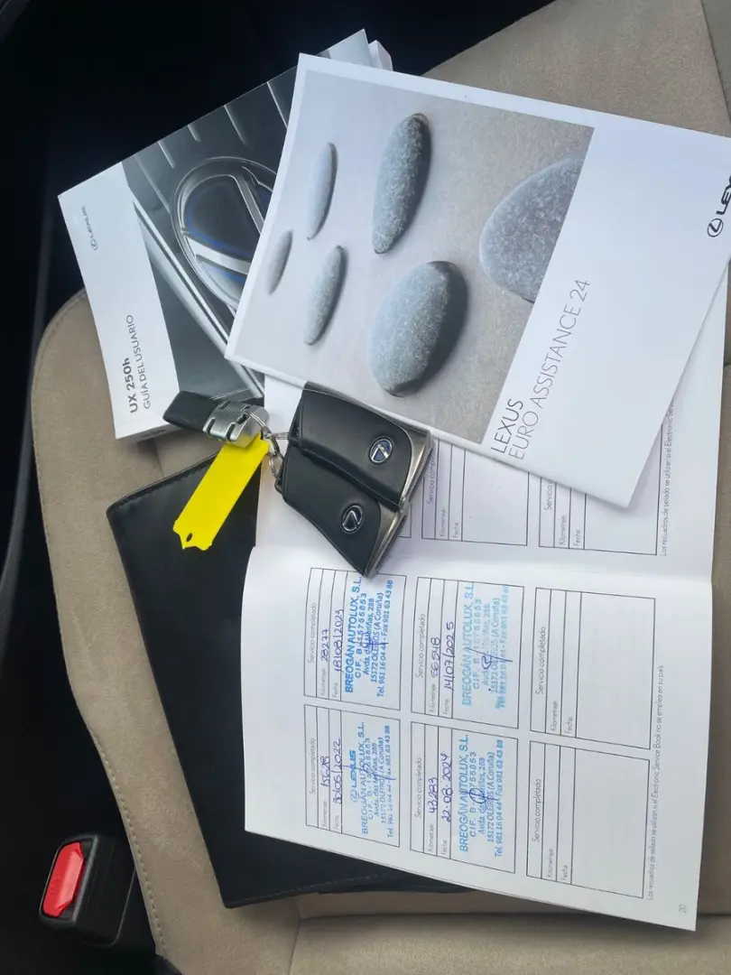 UX250H 2 0 Hybrid Automatik Leder Klima Navi Kam