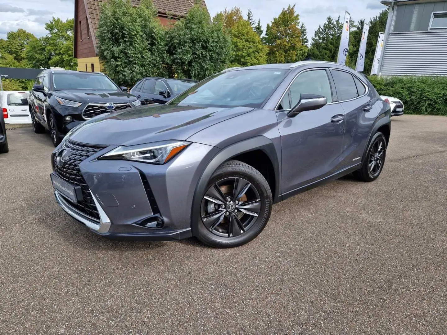 UX 250h Amazing Edition Keyless PDC