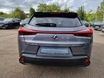 UX 250h Amazing Edition Keyless PDC