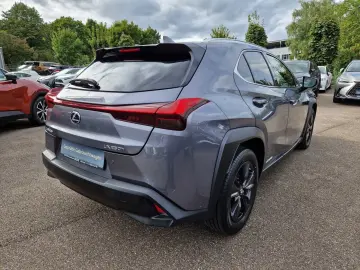 UX 250h Amazing Edition Keyless PDC