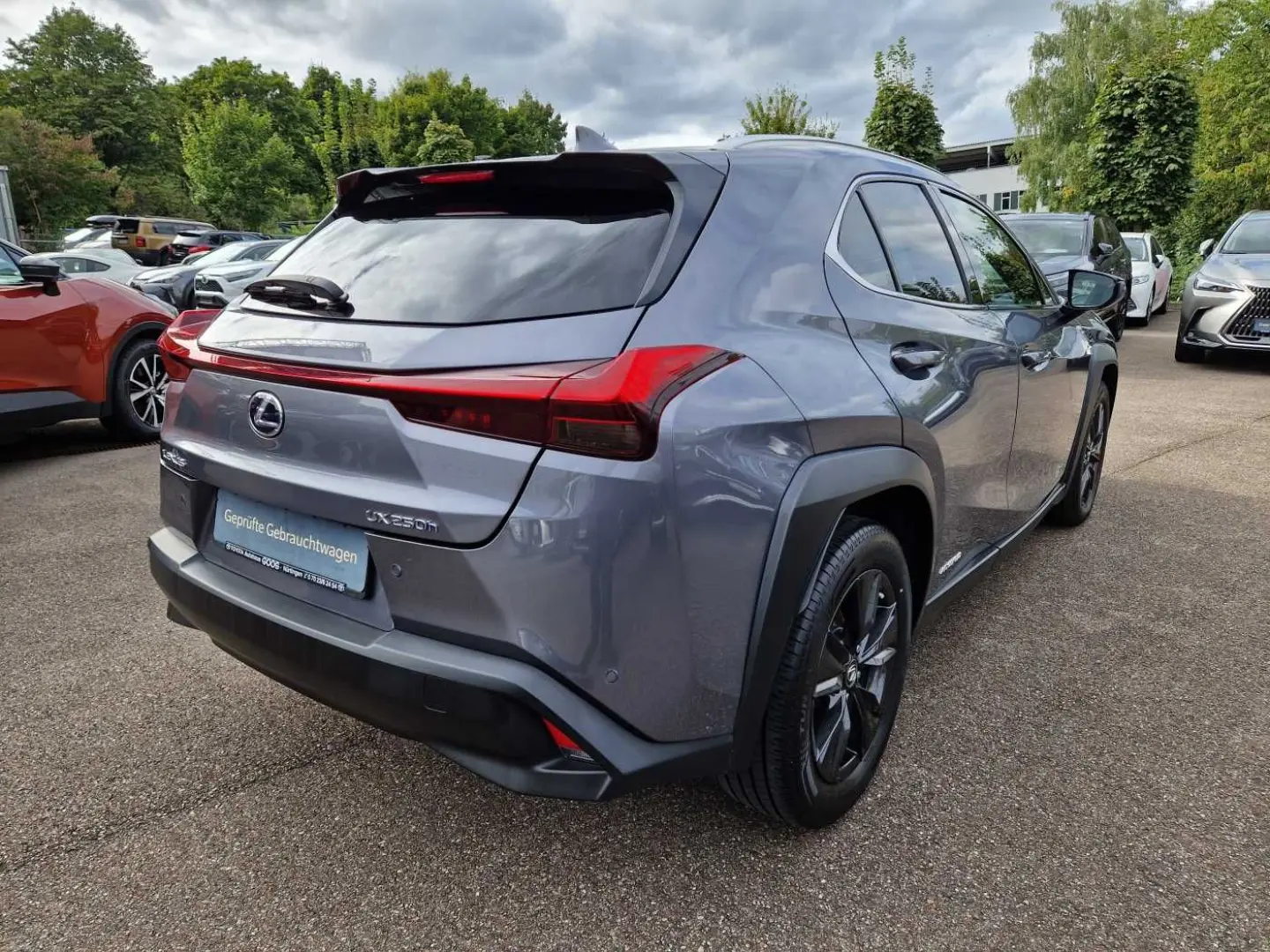UX 250h Amazing Edition Keyless PDC