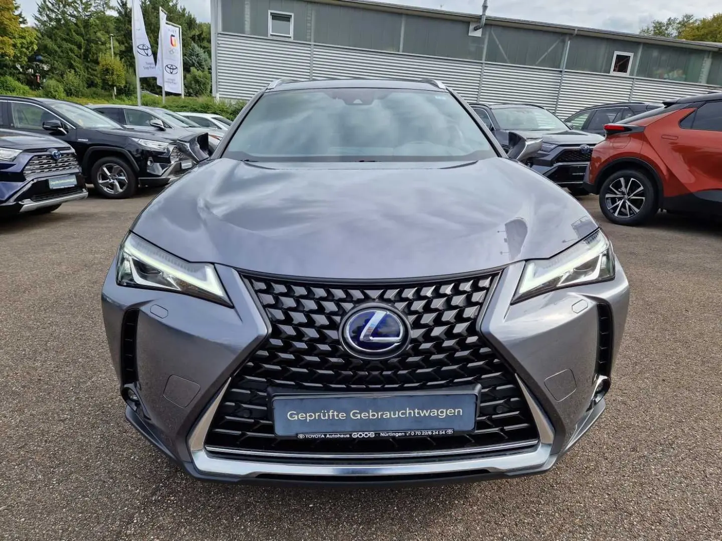 UX 250h Amazing Edition Keyless PDC
