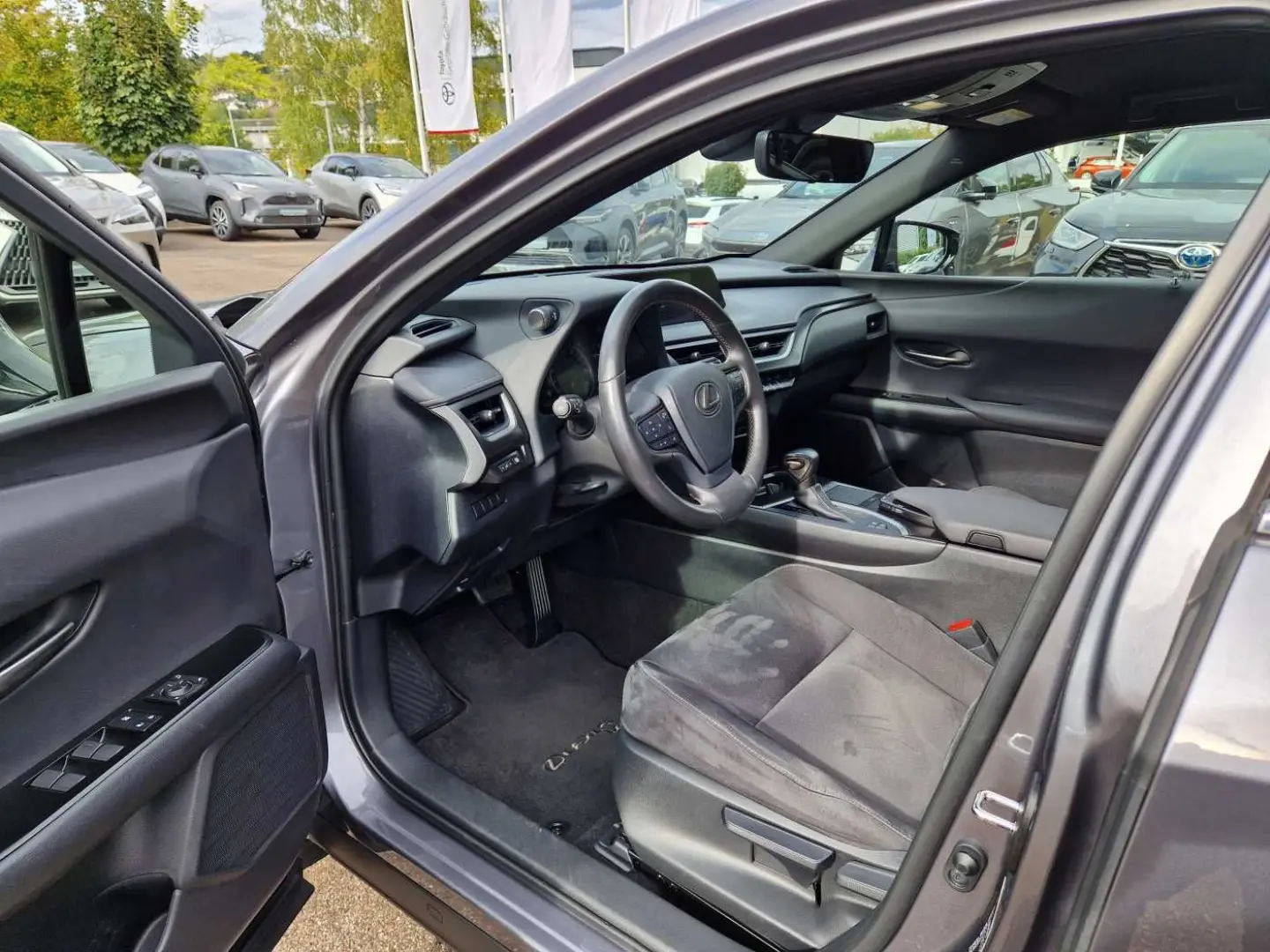 UX 250h Amazing Edition Keyless PDC