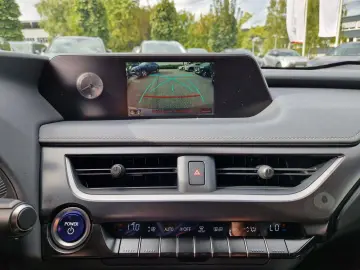UX 250h Amazing Edition Keyless PDC