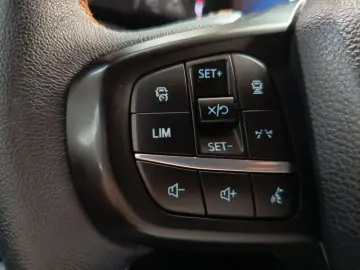 Ranger 3 0 l EcoBlue Doppelkabine Autm. Wildtrak