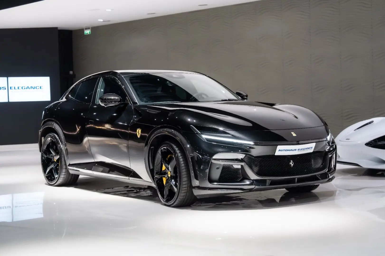 Purosangue CARBON-EXTERIEUR BURMESTER PANO 1-HD