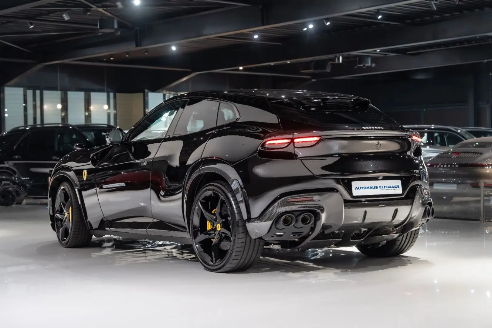 Purosangue CARBON-EXTERIEUR BURMESTER PANO 1-HD