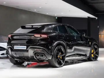 Purosangue CARBON-EXTERIEUR BURMESTER PANO 1-HD