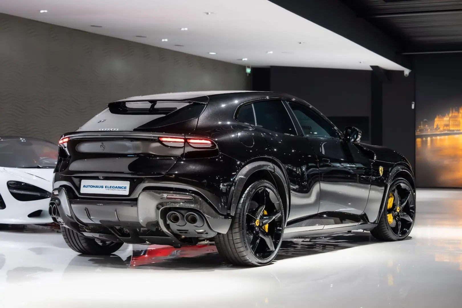 Purosangue CARBON-EXTERIEUR BURMESTER PANO 1-HD