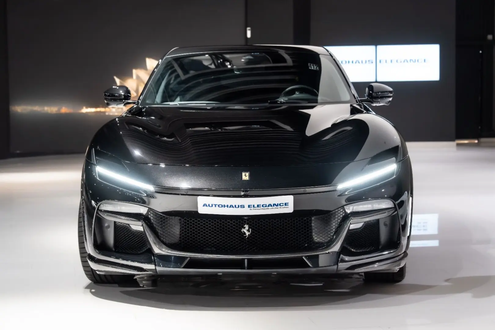 Purosangue CARBON-EXTERIEUR BURMESTER PANO 1-HD