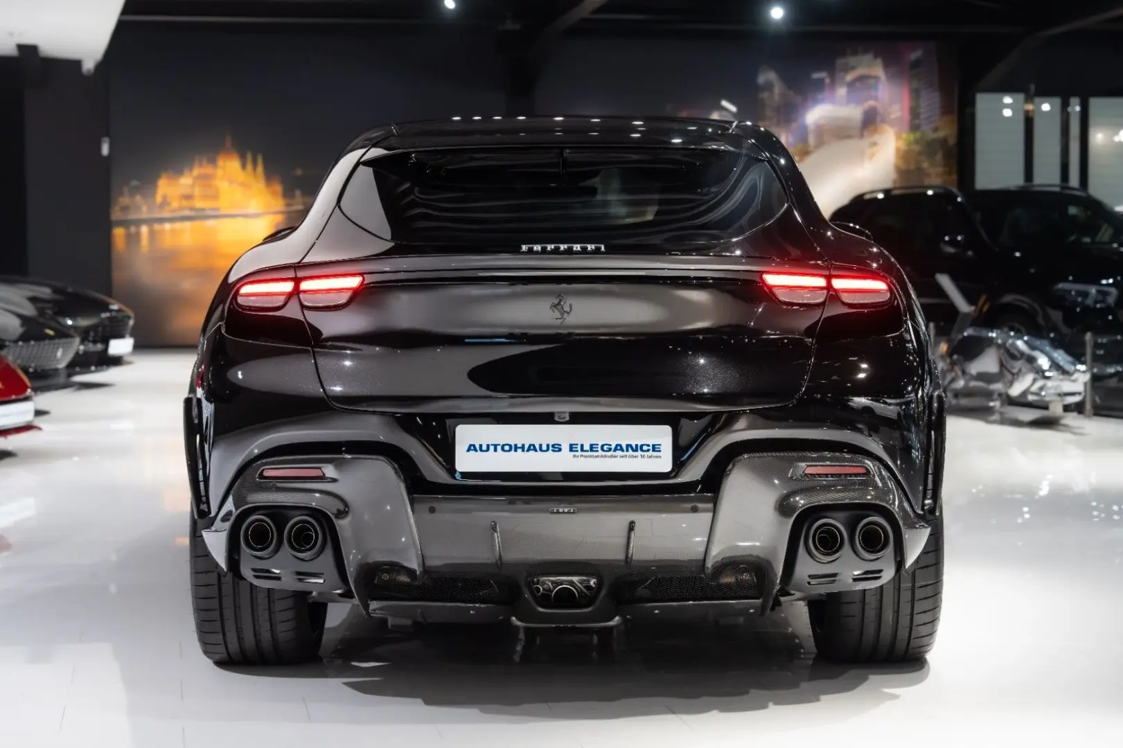 Purosangue CARBON-EXTERIEUR BURMESTER PANO 1-HD