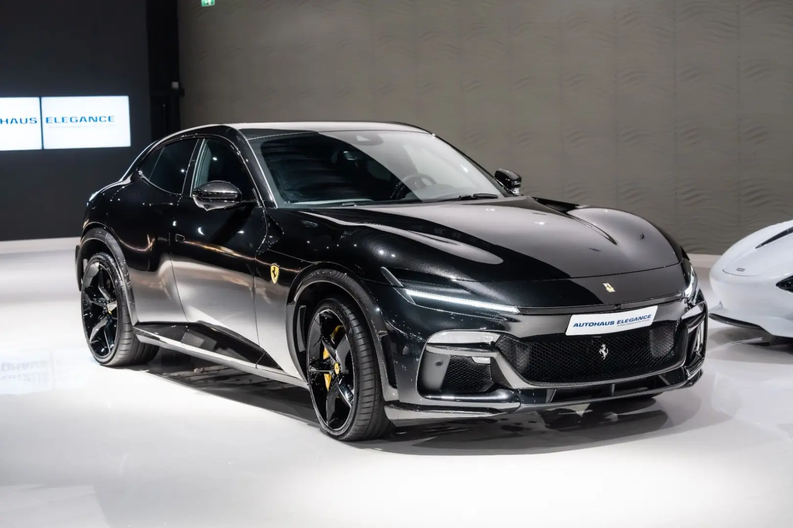 Purosangue CARBON-EXTERIEUR BURMESTER PANO 1-HD