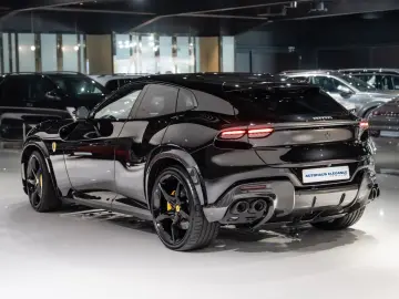 Purosangue CARBON-EXTERIEUR BURMESTER PANO 1-HD