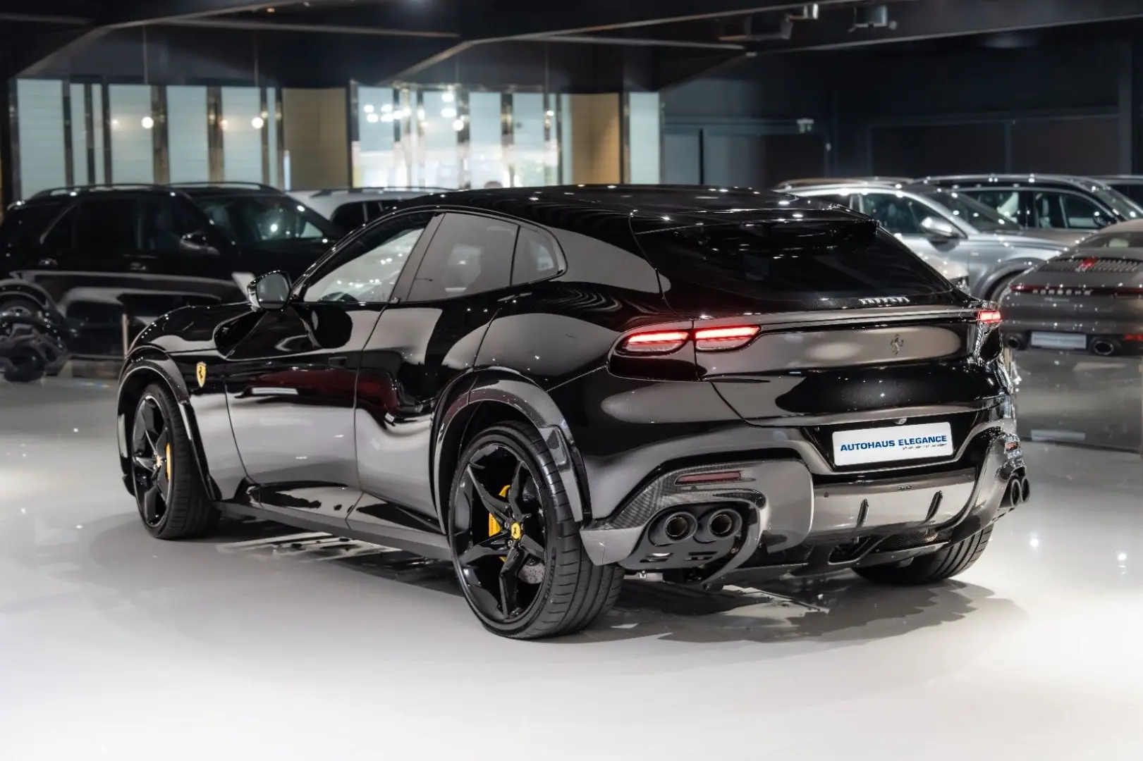 Purosangue CARBON-EXTERIEUR BURMESTER PANO 1-HD