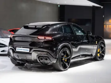 Purosangue CARBON-EXTERIEUR BURMESTER PANO 1-HD