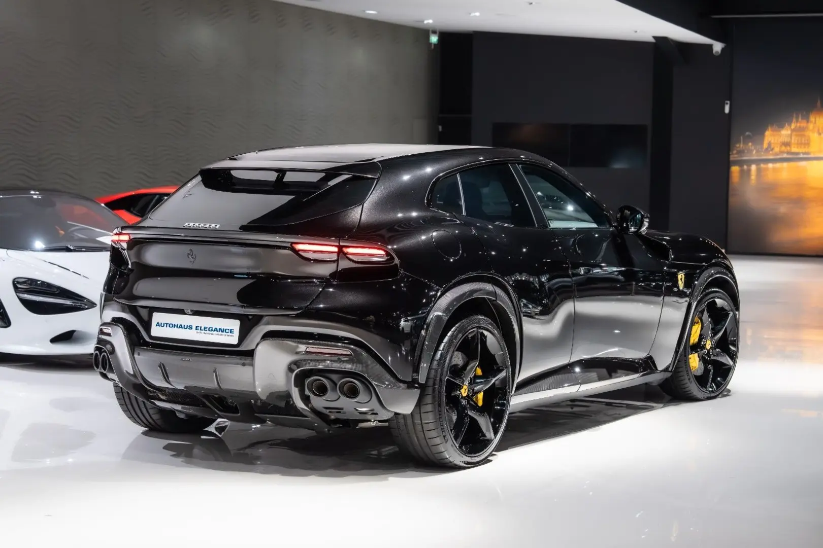 Purosangue CARBON-EXTERIEUR BURMESTER PANO 1-HD