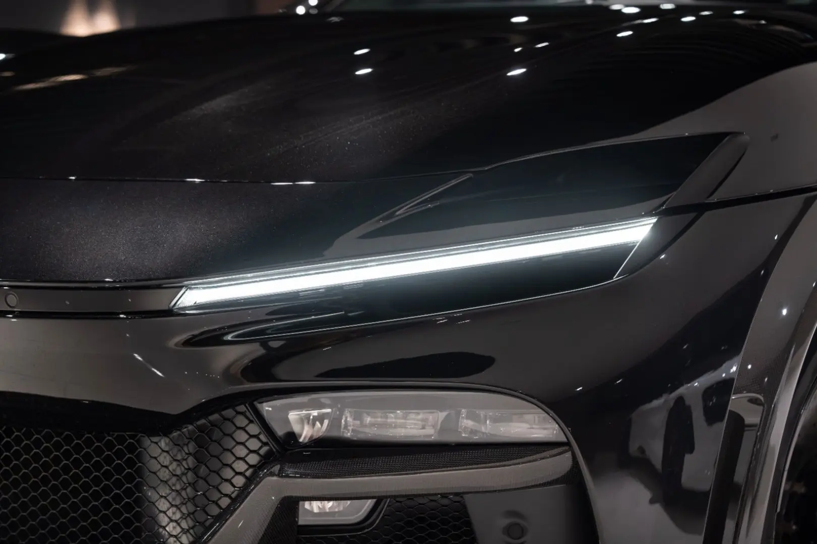 Purosangue CARBON-EXTERIEUR BURMESTER PANO 1-HD