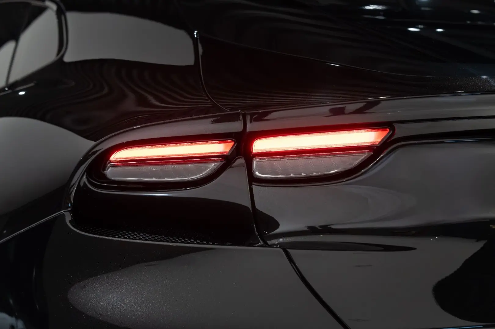 Purosangue CARBON-EXTERIEUR BURMESTER PANO 1-HD