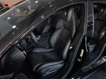 Purosangue CARBON-EXTERIEUR BURMESTER PANO 1-HD