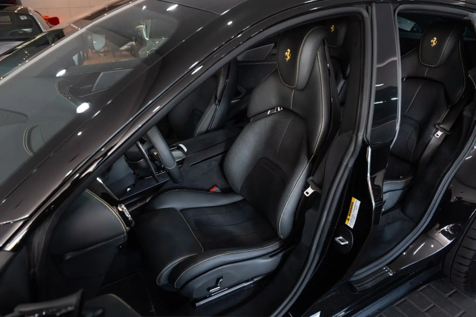 Purosangue CARBON-EXTERIEUR BURMESTER PANO 1-HD