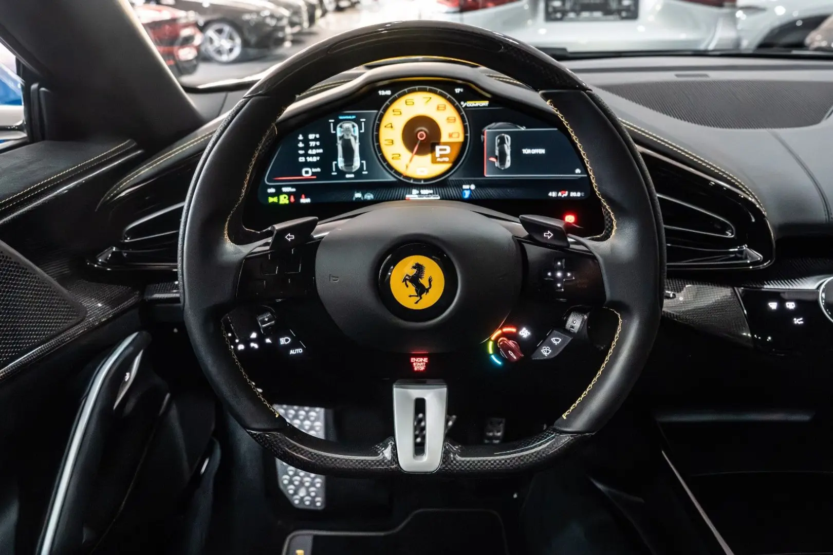 Purosangue CARBON-EXTERIEUR BURMESTER PANO 1-HD