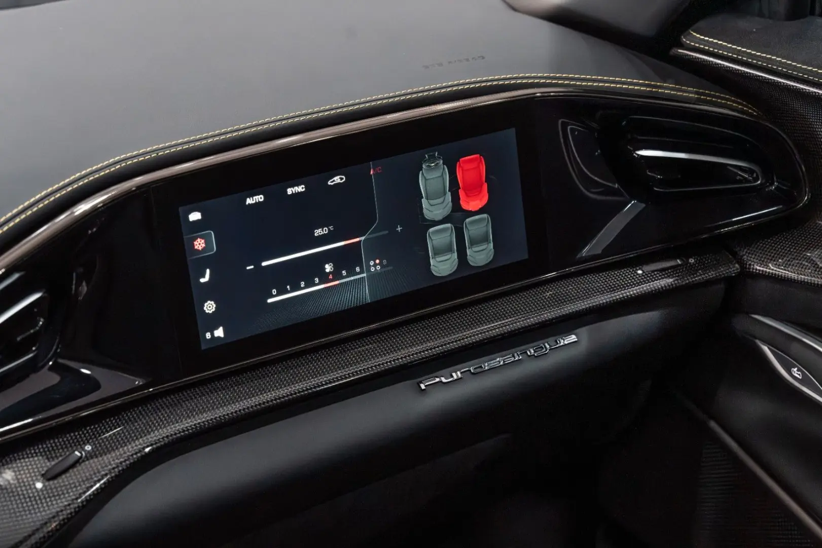 Purosangue CARBON-EXTERIEUR BURMESTER PANO 1-HD