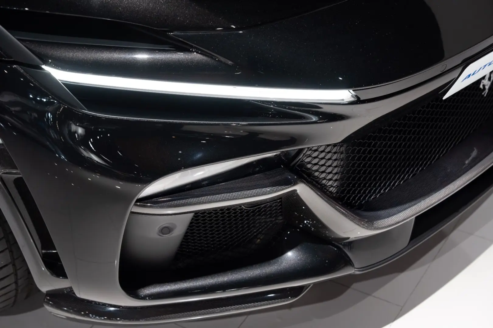 Purosangue CARBON-EXTERIEUR BURMESTER PANO 1-HD