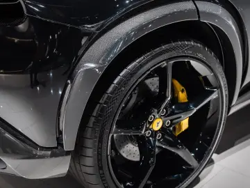 Purosangue CARBON-EXTERIEUR BURMESTER PANO 1-HD