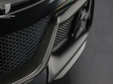 Purosangue FullCarbon Panorama Massage NOVITEC