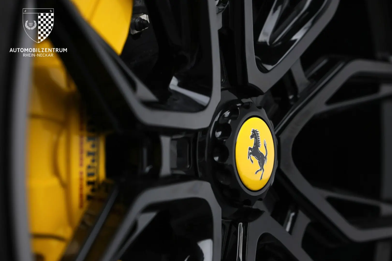 Purosangue FullCarbon Panorama Massage NOVITEC