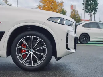 X5 xDrive30d M Sportpaket Gestiksteuerung DAB