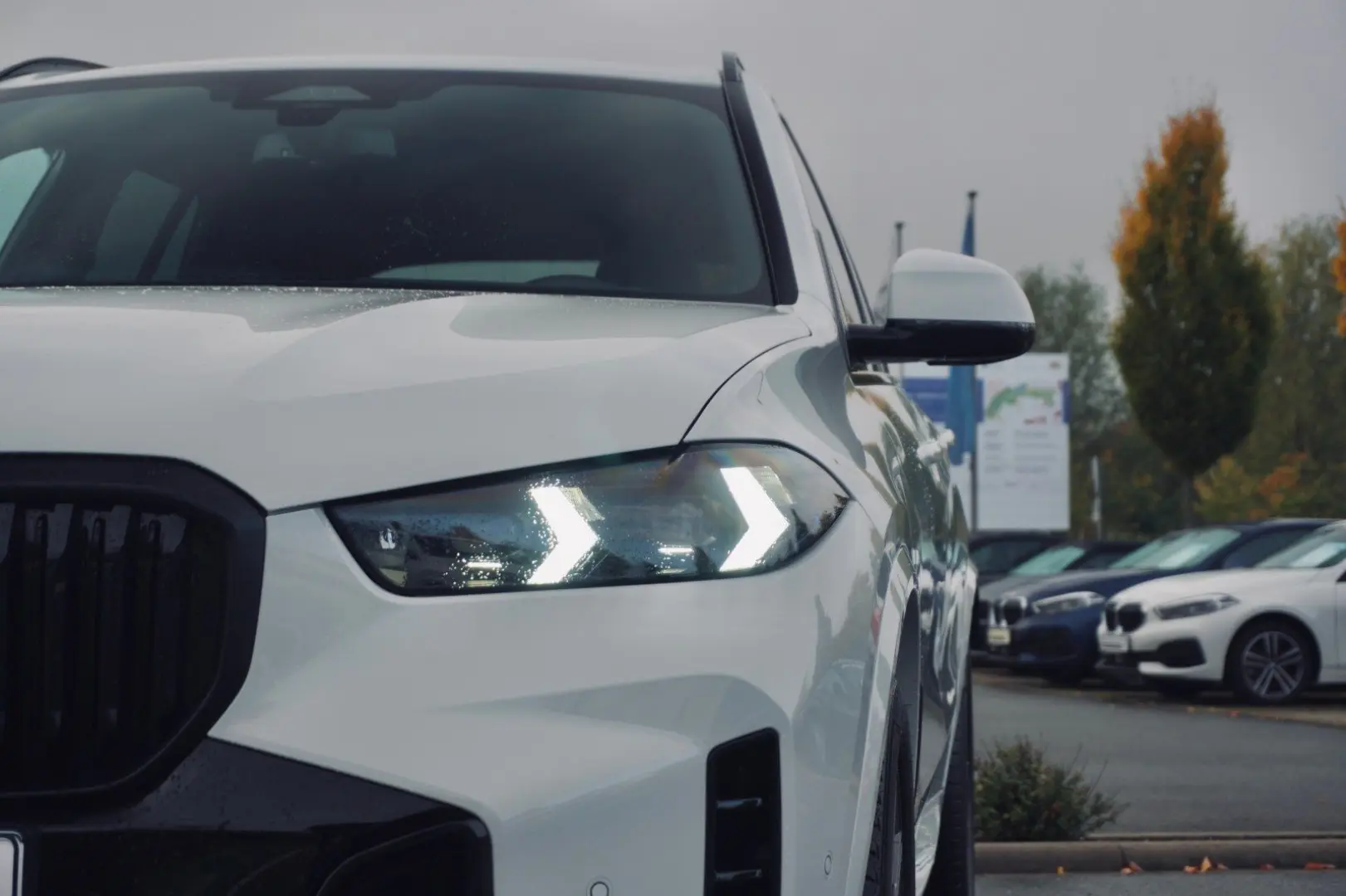 X5 xDrive30d M Sportpaket Gestiksteuerung DAB