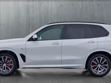 X5 xDrive30d M Sportpaket Gestiksteuerung DAB