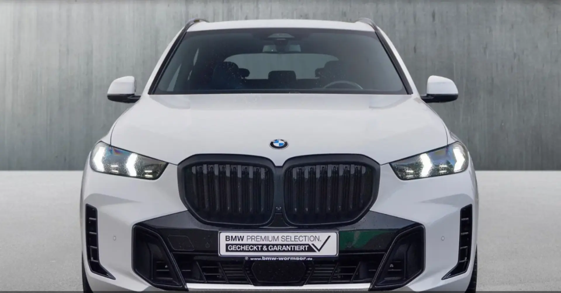 X5 xDrive30d M Sportpaket Gestiksteuerung DAB