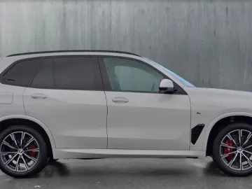 X5 xDrive30d M Sportpaket Gestiksteuerung DAB