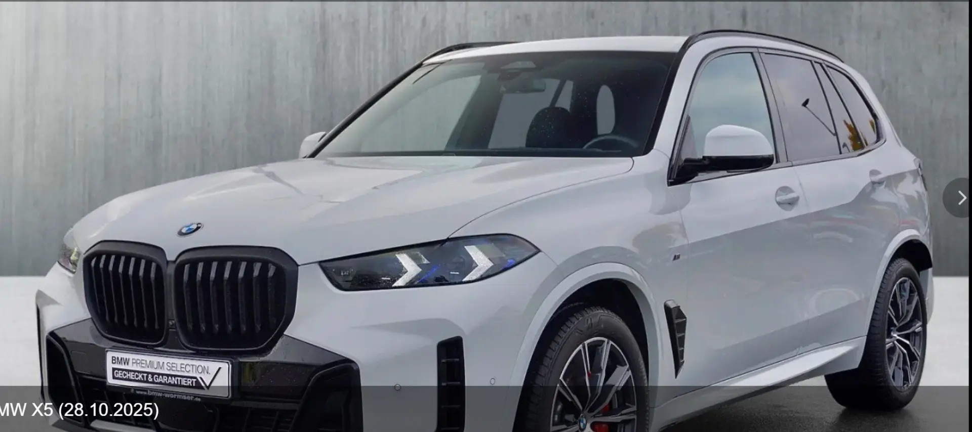 X5 xDrive30d M Sportpaket Gestiksteuerung DAB