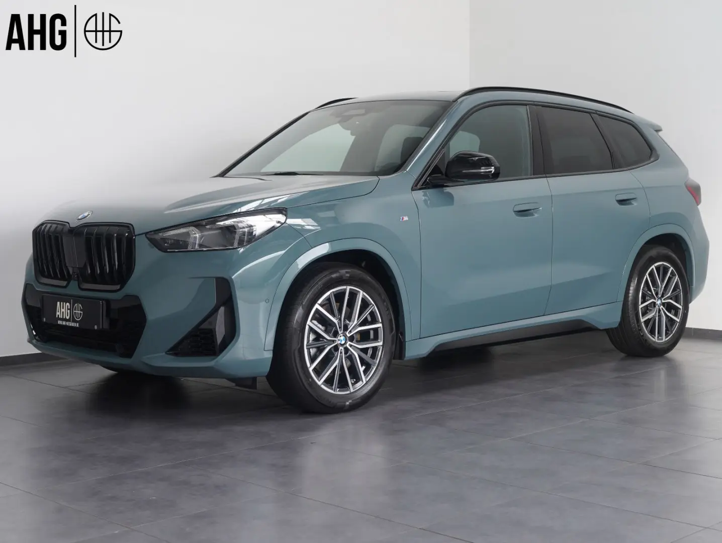 X1 23 i xDrive M Sport HUD 360  PANORAMA AHK